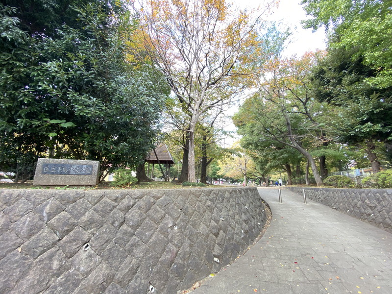 サークルハウス三宿弐番館202の室内17