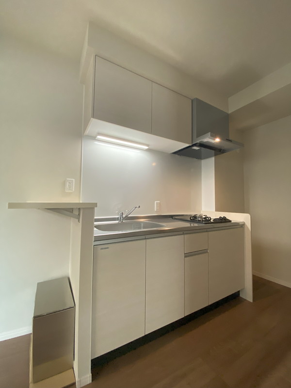 レジデンシア・セレーナ太子堂203の室内9