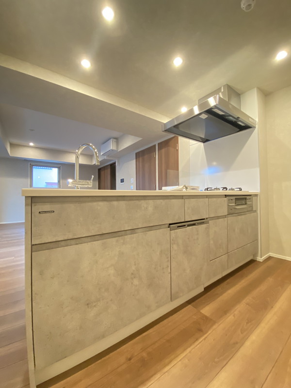 スタイリオ目黒大橋HILLSIDE201の室内9