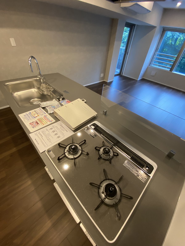 スタイリオ目黒大橋HILLSIDE103の室内9