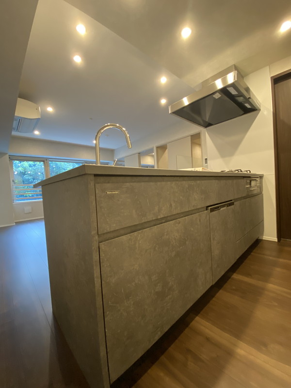 スタイリオ目黒大橋HILLSIDE103の室内10