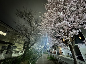 アルジオーネ池尻206の室内12