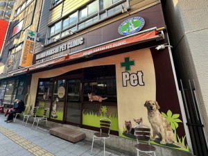 アルジオーネ池尻206の室内13