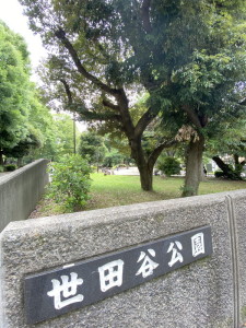 アルジオーネ池尻206の室内19