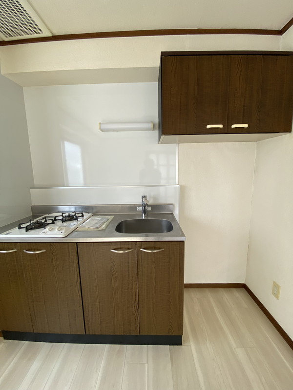 グリーンヴィラ・池尻401の室内18