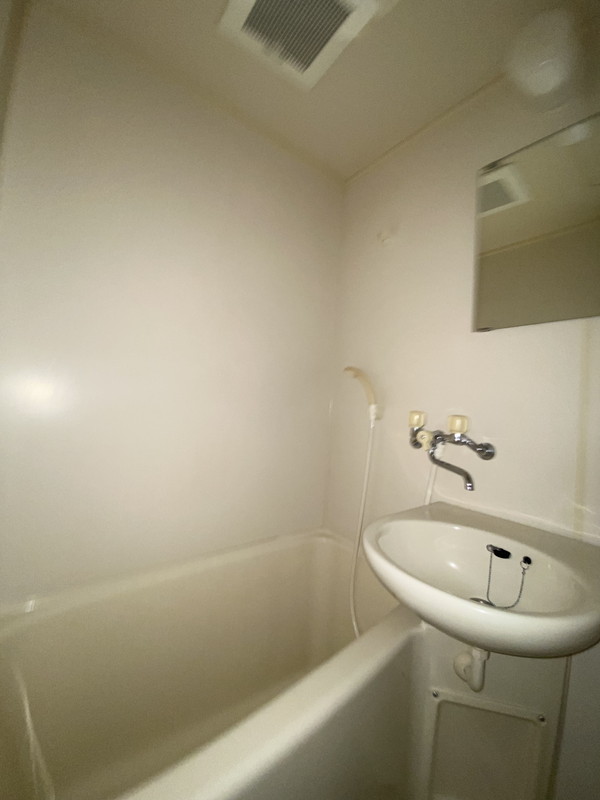 グリーンヴィラ・池尻401の室内12