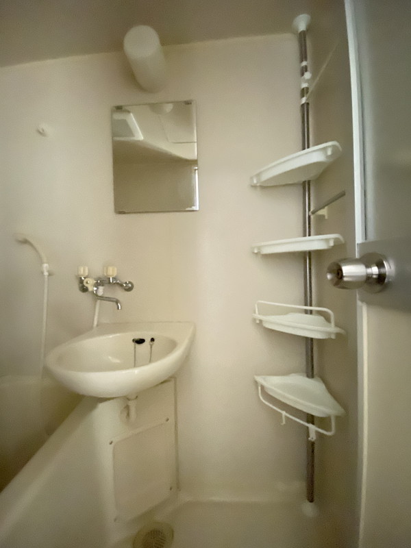 グリーンヴィラ・池尻401の室内13