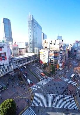 パレステュディオ渋谷EAST804の室内9