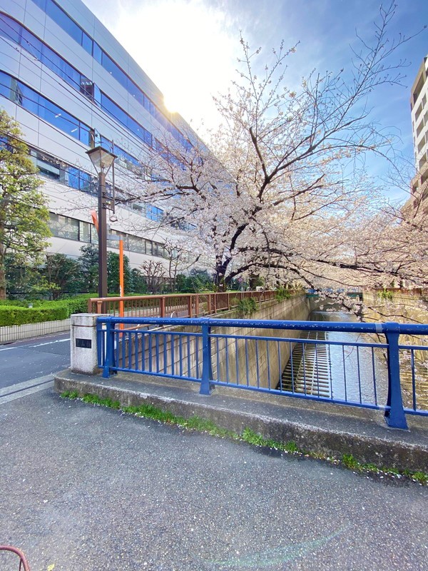 ゾンネンハイム大橋414の室内15