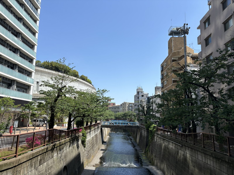 サンテミリオン目黒東山弐番館402の室内18