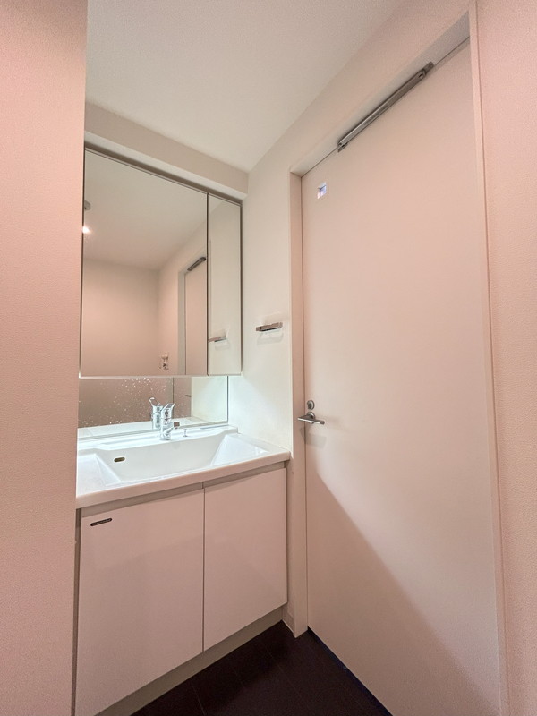 三軒茶屋レジデンス203の室内8