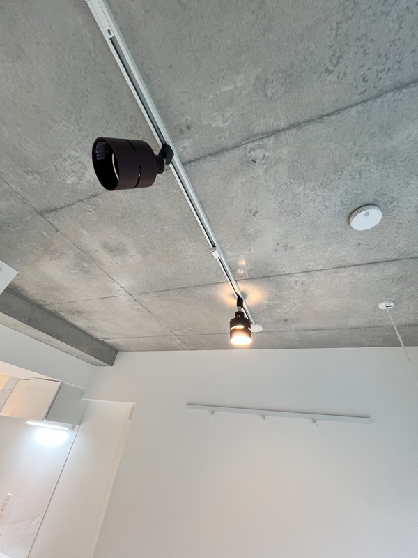 Fiore桜新町(フィオーレ桜新町)101の室内13