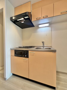 シュライナー池尻505の室内5