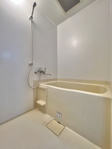 シュライナー池尻505の室内6