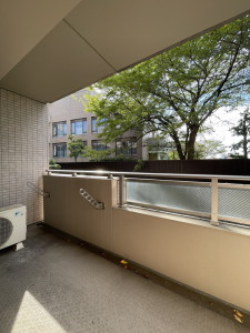 HF若林公園レジデンス302の室内12
