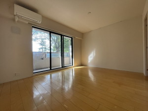 HF若林公園レジデンス302の室内3
