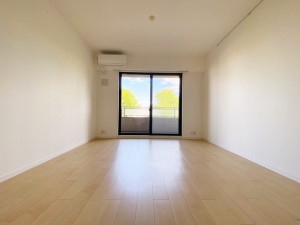 HF若林公園レジデンス302の室内6