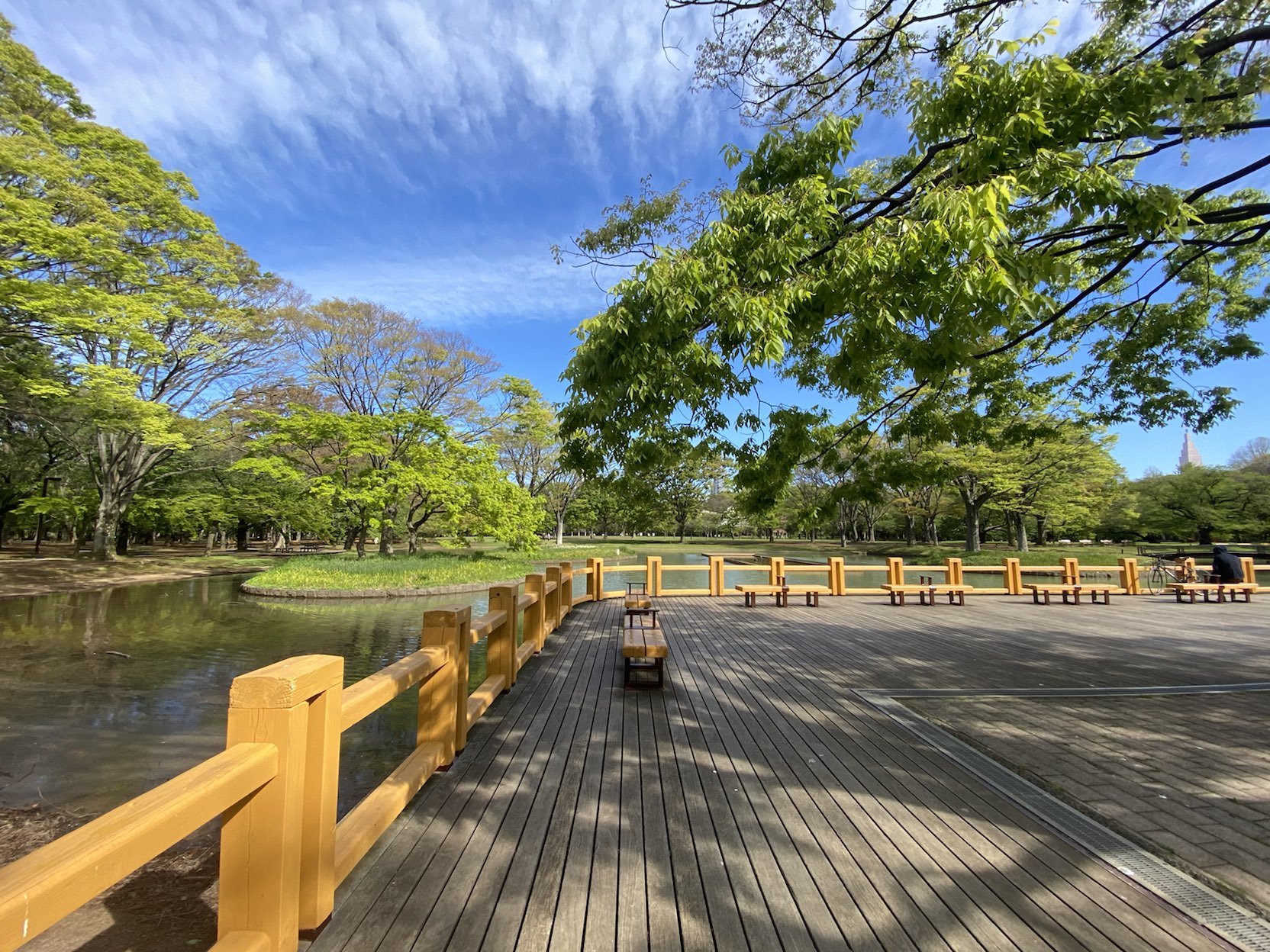 グリシーナ下北沢602の室内19