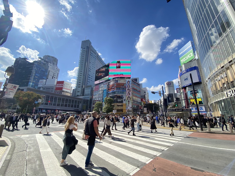 プライア渋谷1203の室内15