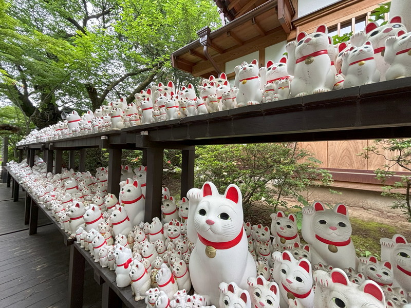 クラッシィハウス世田谷松陰神社前101の室内15