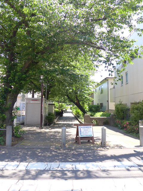 キャステリーノ三宿206の室内3