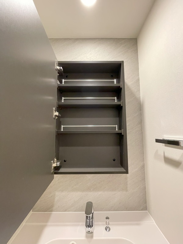 Brillia ist 池尻大橋(ブリリア イスト 池尻大橋)524の室内11