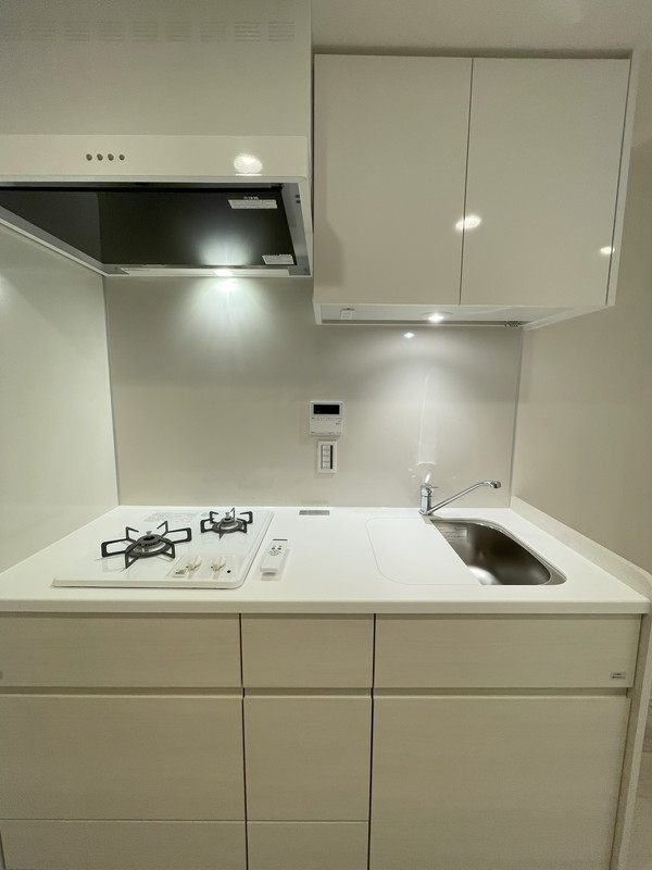 Brillia ist 池尻大橋(ブリリア イスト 池尻大橋)524の室内6