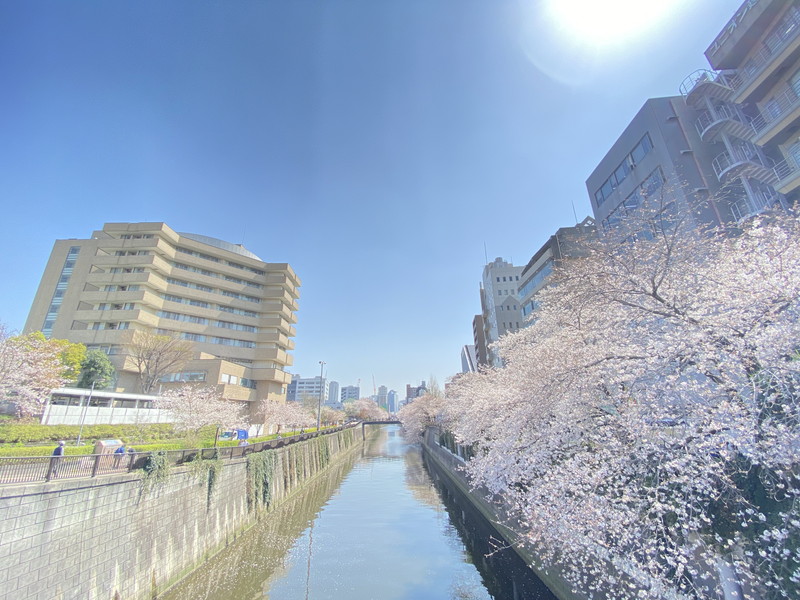 グランパセオ目黒大塚山101の室内18