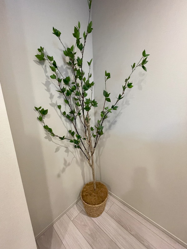 Brillia ist 池尻大橋(ブリリア イスト 池尻大橋)518の室内13