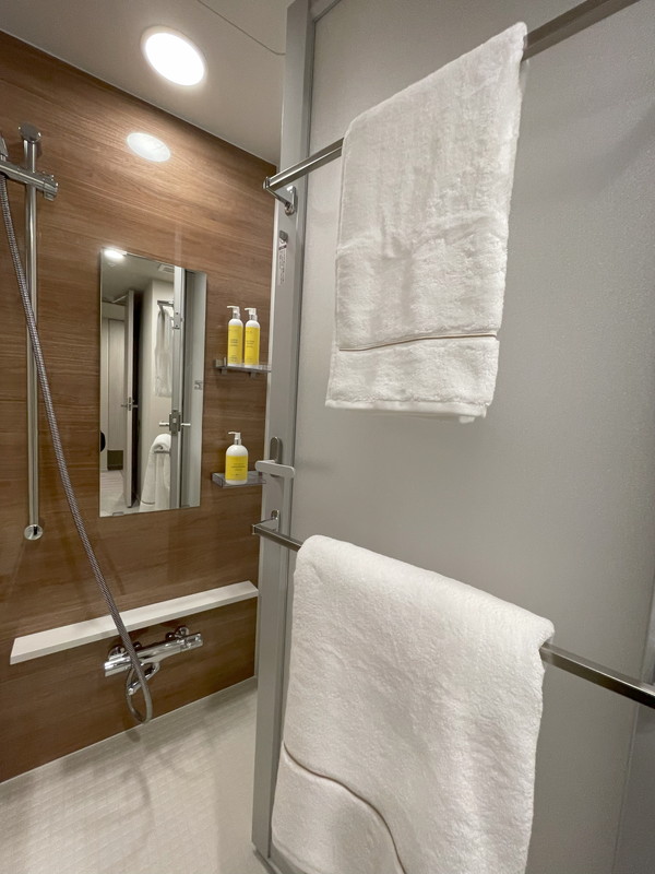 Brillia ist 池尻大橋(ブリリア イスト 池尻大橋)518の室内8