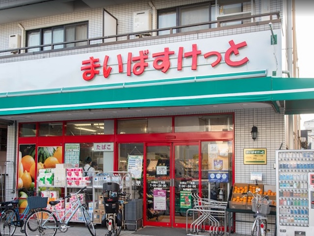ダイアパレス都立大4Fの室内18