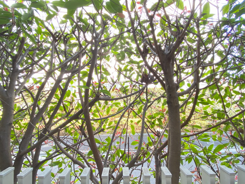 アーデン目黒不動前107の室内4