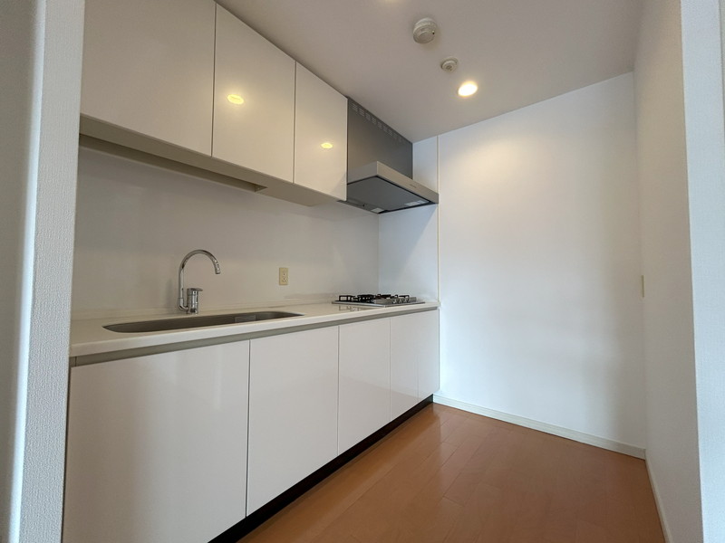 Brillia ist 三軒茶屋 ブラッサムテラス515の室内4