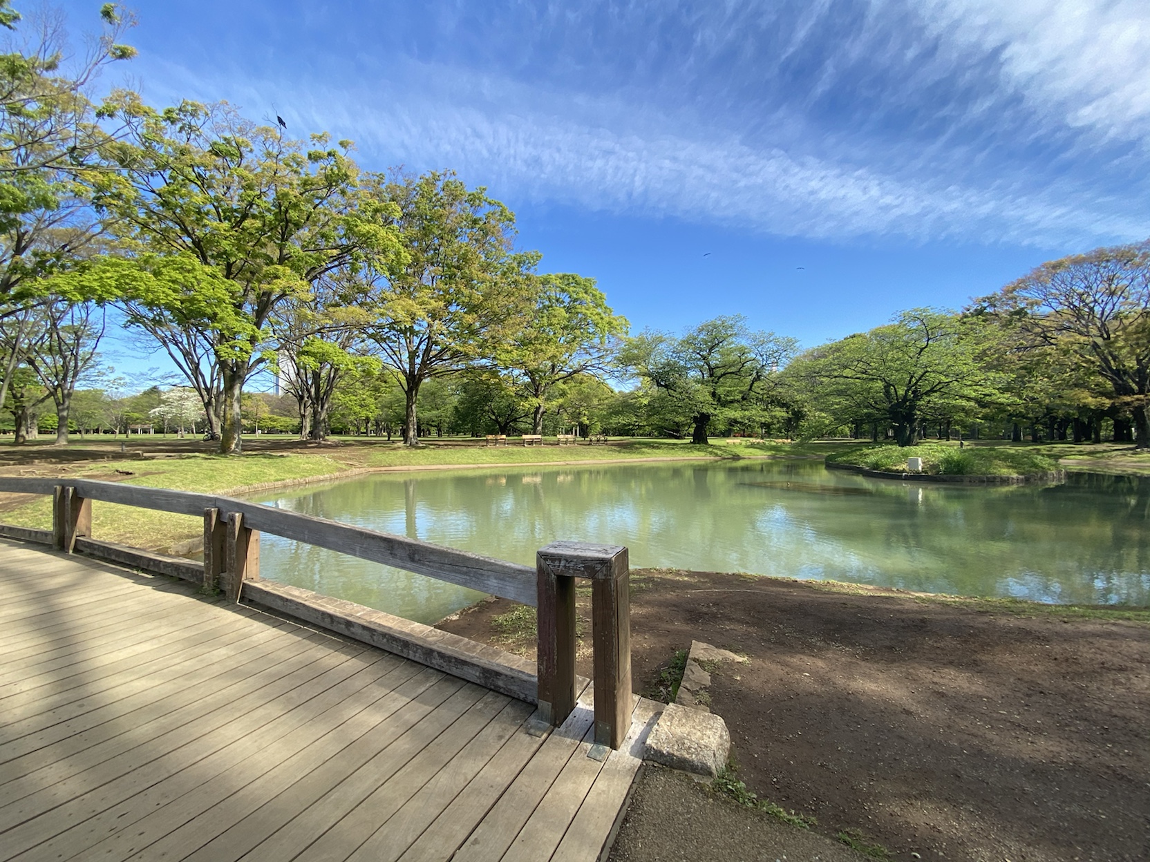 パーク・アヴェニュー神南403の室内18