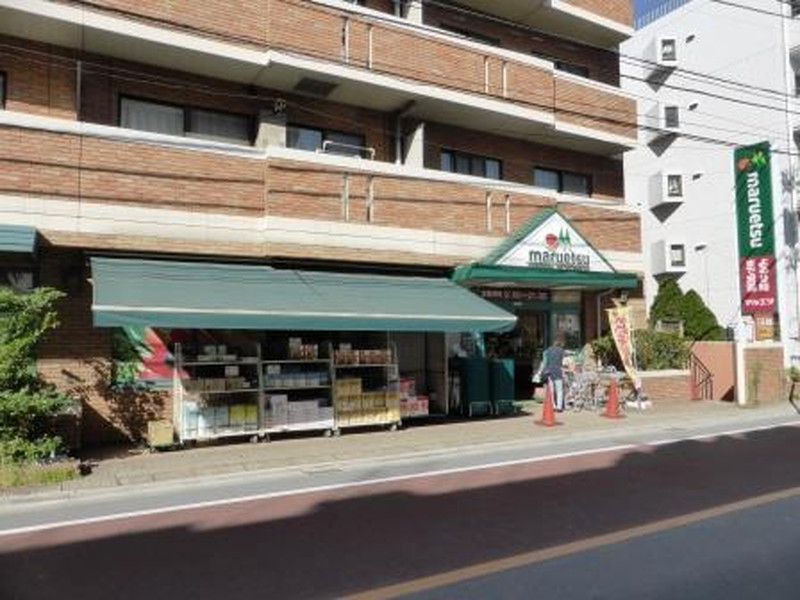 ウェルスクエア二子玉川203の室内17