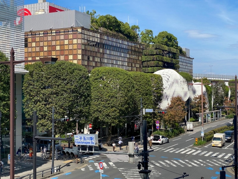 ウェルスクエア二子玉川402の室内17