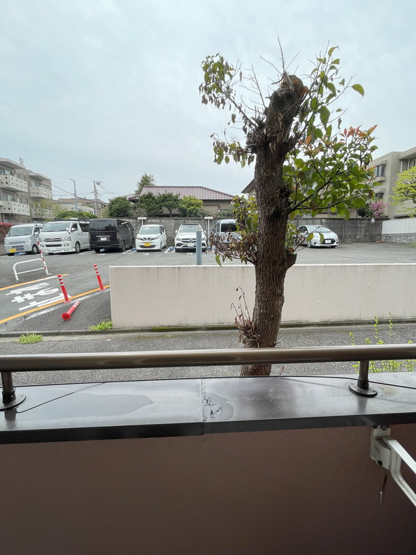 煉瓦の館A-1の室内5