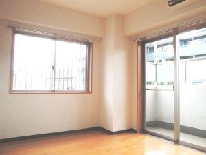 ランファン・ドール二子玉川202の室内3