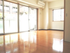 ランファン・ドール二子玉川202の室内4