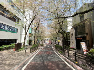パークアクシス渋谷桜丘ウエスト1305の室内15