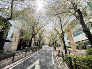 パークアクシス渋谷桜丘ウエスト1305の室内14