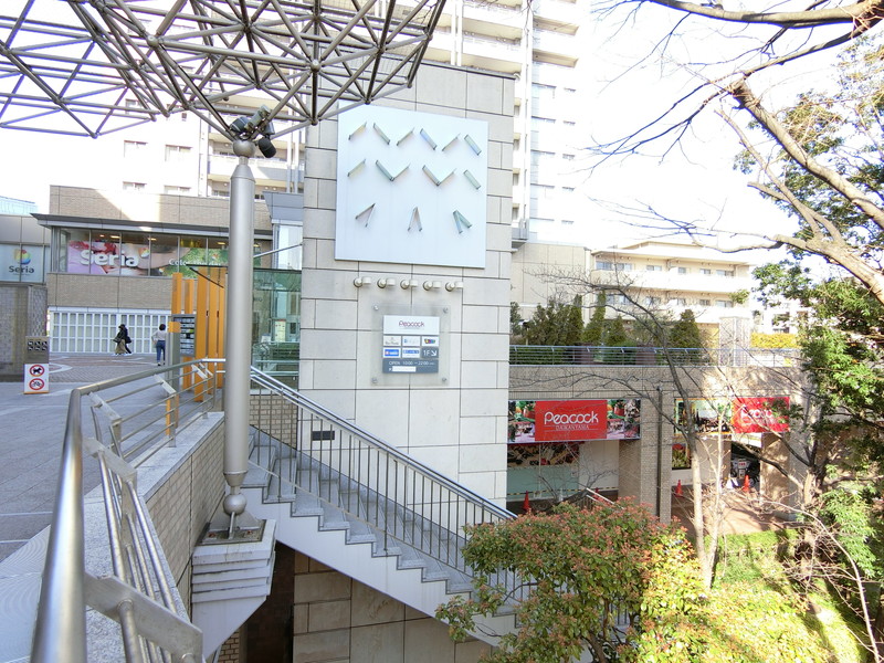 KDX代官山レジデンス219の室内15