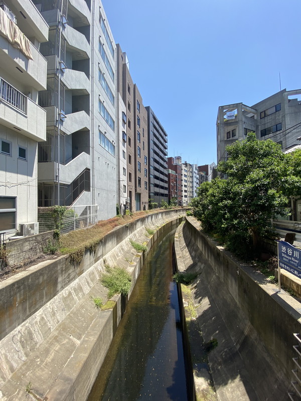 ライオンズプラザ恵比寿507の室内15