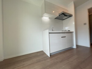 Reframe 5 池尻大橋（リフレイムファイブ池尻大橋）402の室内2