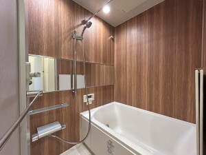 メゾンビスタ渋谷宇田川704の室内7