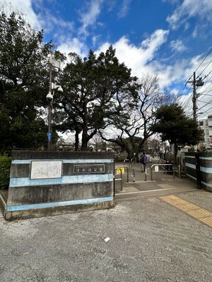 ドゥーエ学芸大学205の室内15