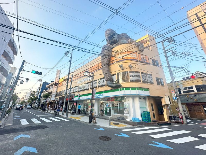 リバティヒルズ三軒茶屋206の室内16