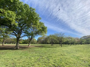 Fika代々木上原203の室内13