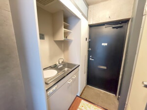 トレンタハウス桜新町401の室内4