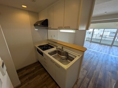 サードリハイツ本館407の室内17